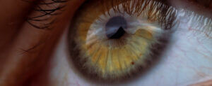 Menschliches Auge