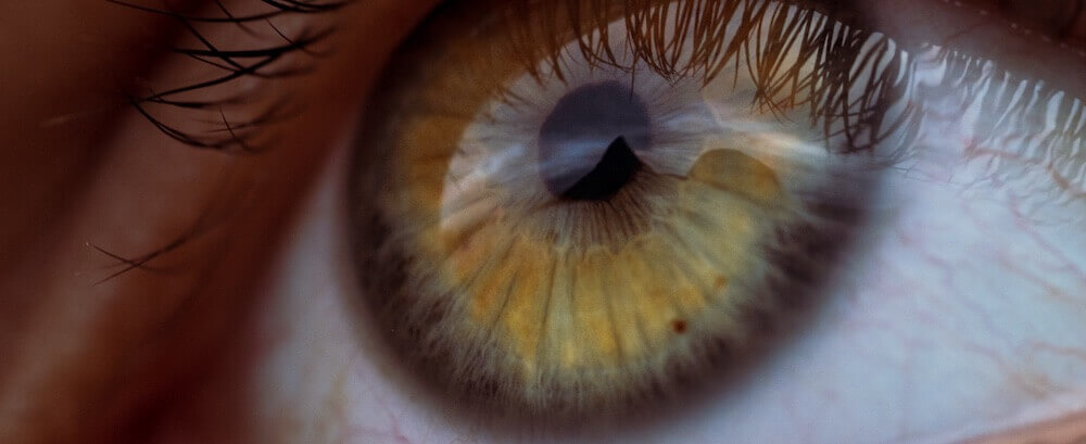 Auge Physik & Mathe online lernen so geht's!