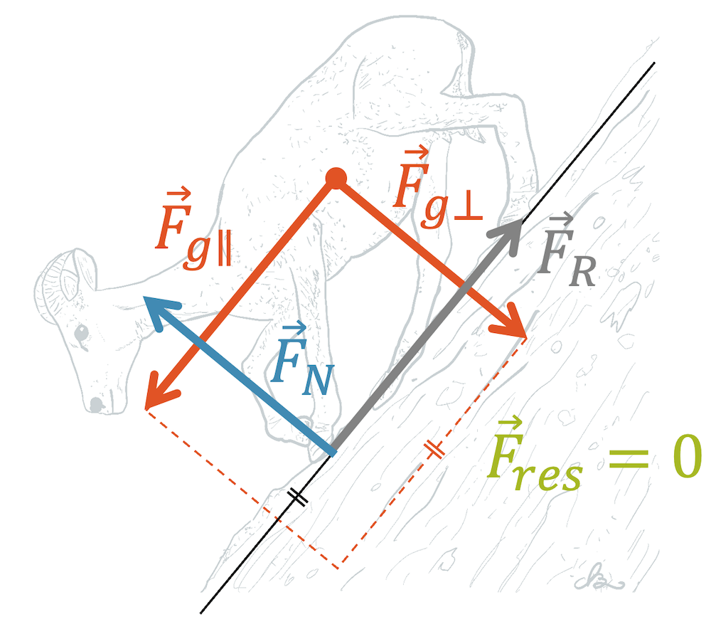 Normalkraft Physik & Mathe online lernen so geht